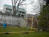 Polytunnel 15